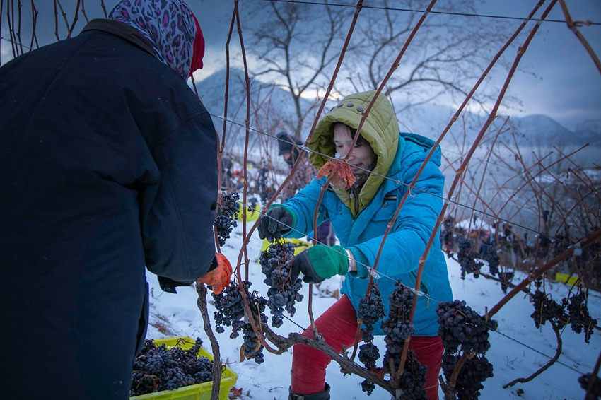 ���˲������ѳ�������������