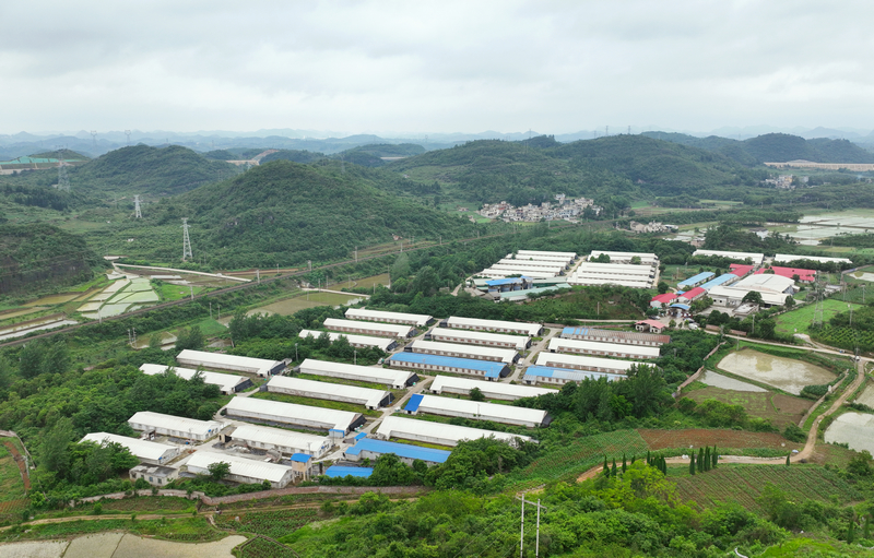 ���������������޹�˾�ּ��������������ʤǿ��