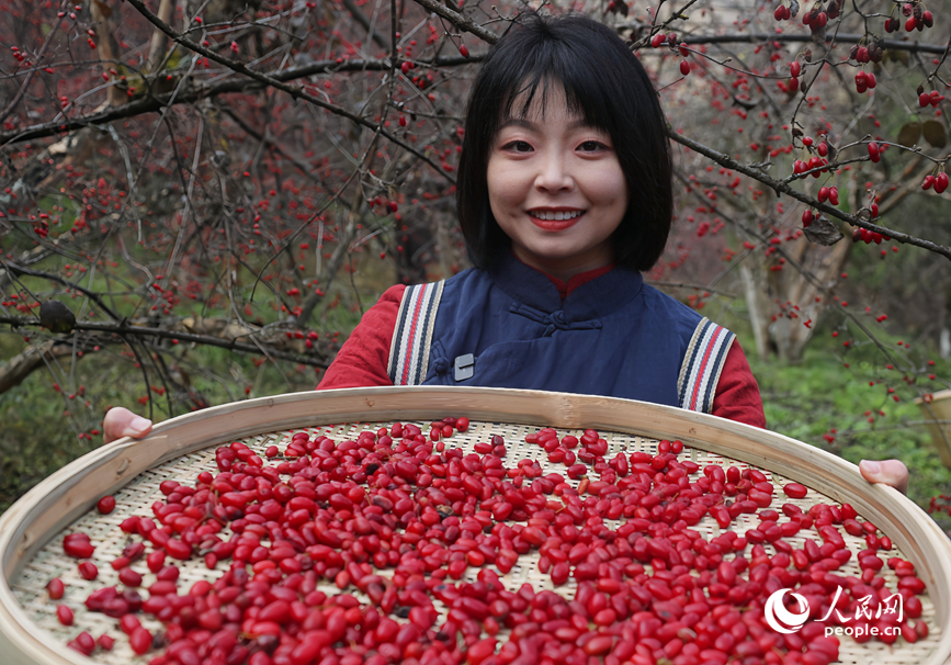 ɽ���Ƿ��գ����������ο�ǰ�������ժ������������ ����ƽ��