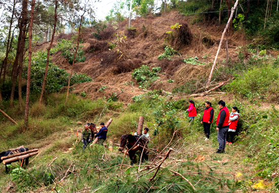 2025��1�£�־Ը��������ֳ����⡣������ƽ�����ΰ칩ͼ