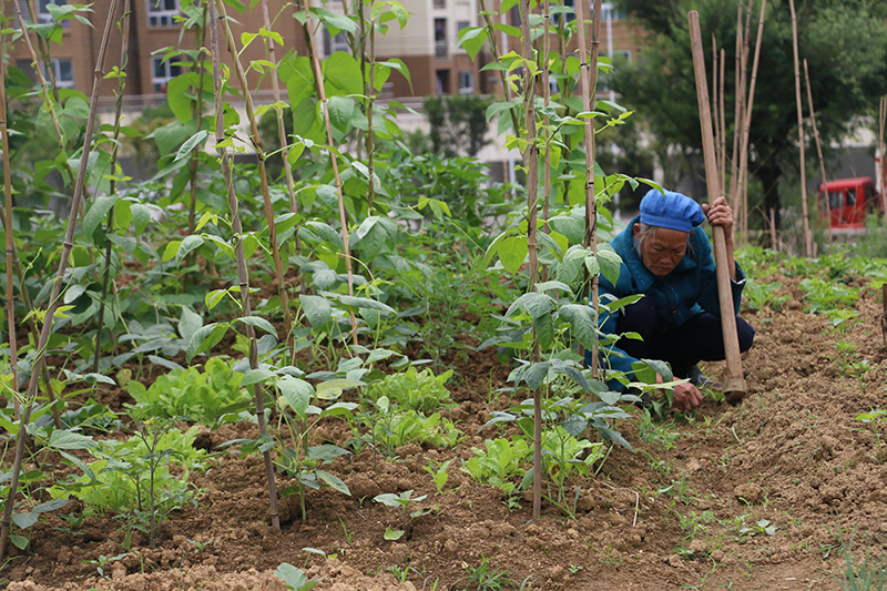 ����΢��԰��