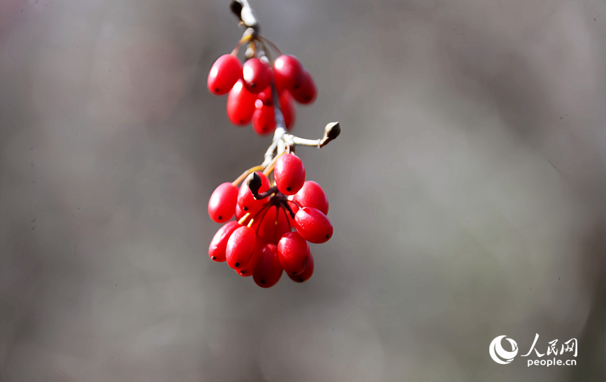 �����ɽ���ǡ����������� ����ƽ��