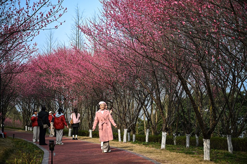 1��27�գ���������������չ��԰���������ں�÷����������Ӱ����ϯ���� ���� ��