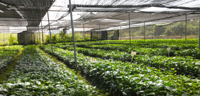 ���ƿ�һ�š�������ء�ͼԴ����ɽ����