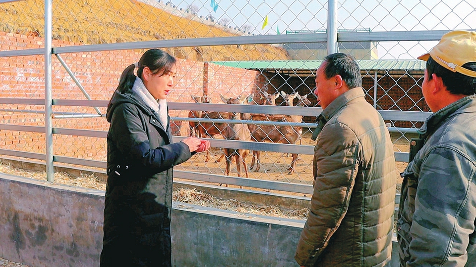 ������ũ����Ա����ֳ�����ڽ�����ͨѶԱ��