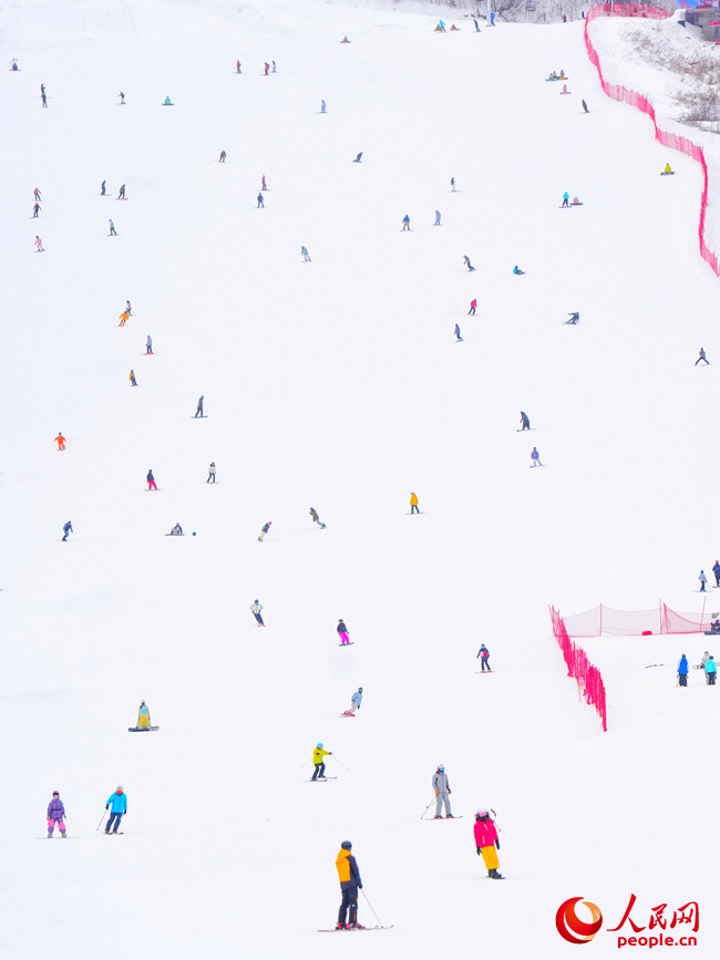 ���ֱ������ѩ��������֯������������ ������