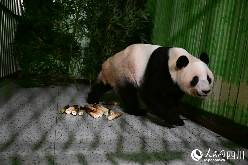 ����è�����١��������