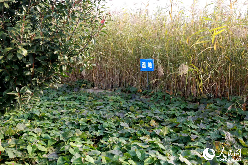 �����������ˮ�����ڹ�ȳ����̻������������� ��˼Զ��