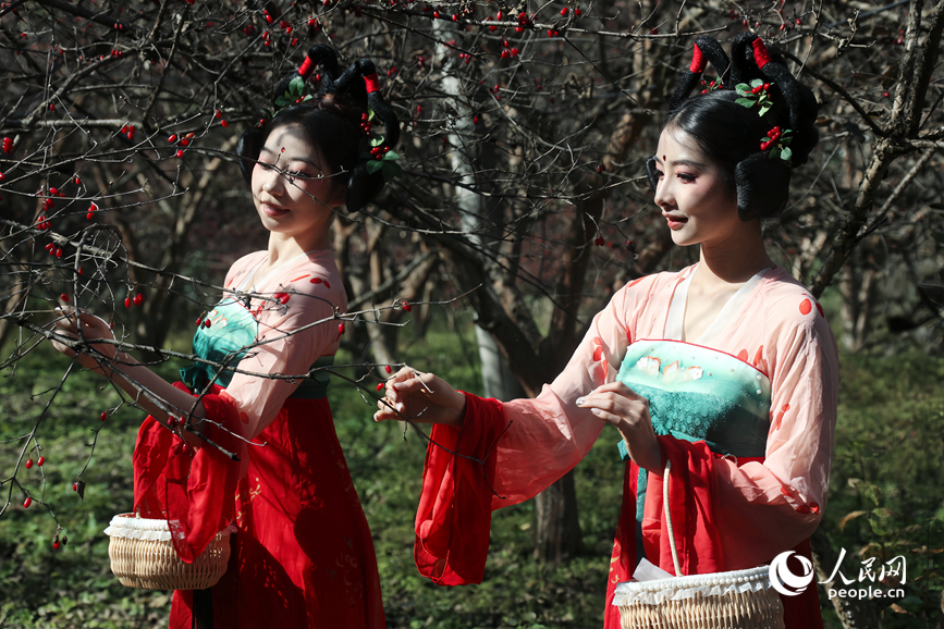 ɽ���Ƿ��գ����������ο�ǰ�������ժ������������ ����ƽ��