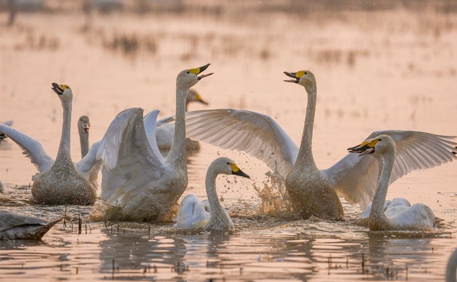 Խ��������ʪ����Ϣ����������