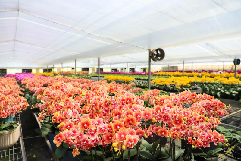 �������������ֲ���ء������幩ͼ