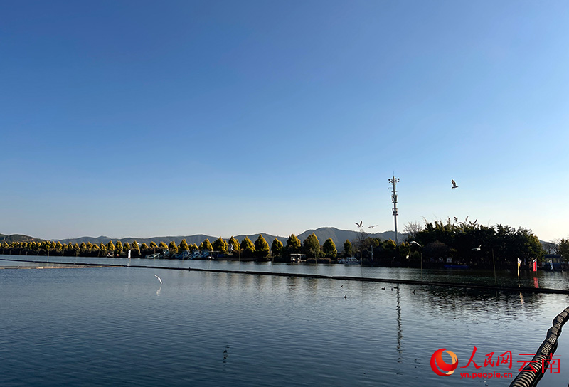 ��1�����������������ɫ������������-�̺���