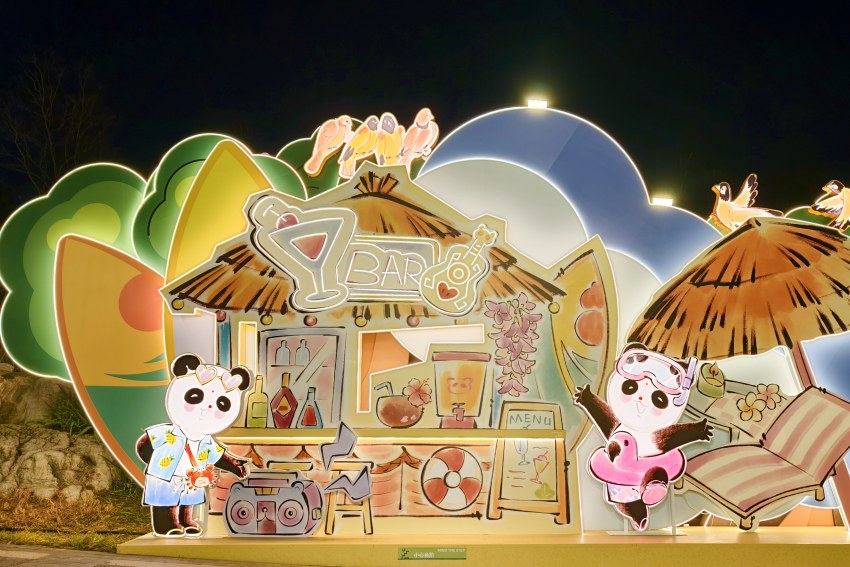 ��55��ɶ�������è�ƻ��ֳ��������� ��������