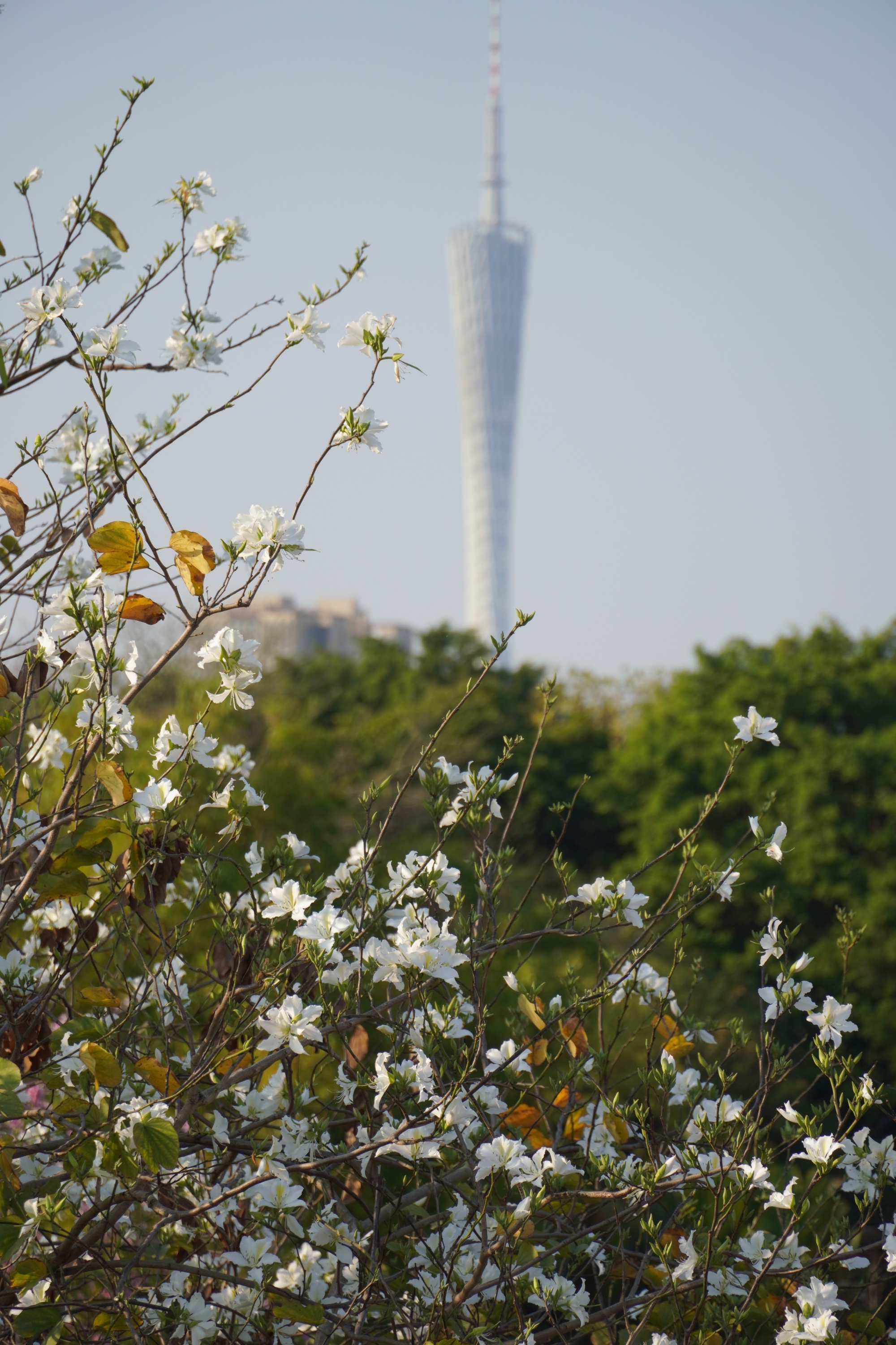 ���ݺ���ʪ�أ������Ͼ����������ͬ�򡱡����������� ���ŵ���