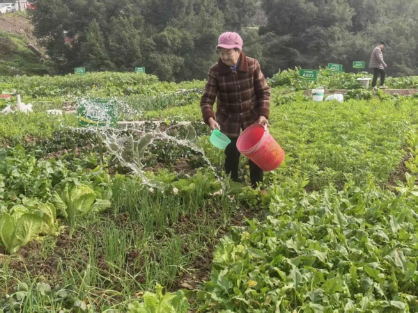 ������˵ؽ�ˮ����������