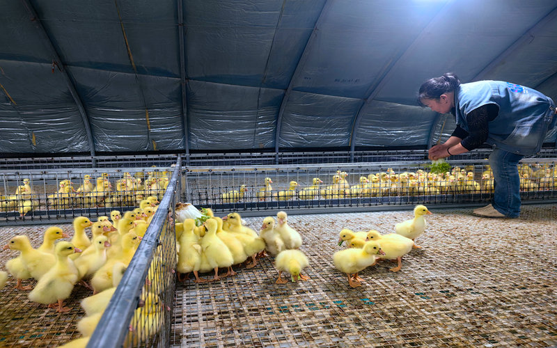 ����Ԯ������������Դ�ؽ����׼����ֳ��ʩ�����帻��