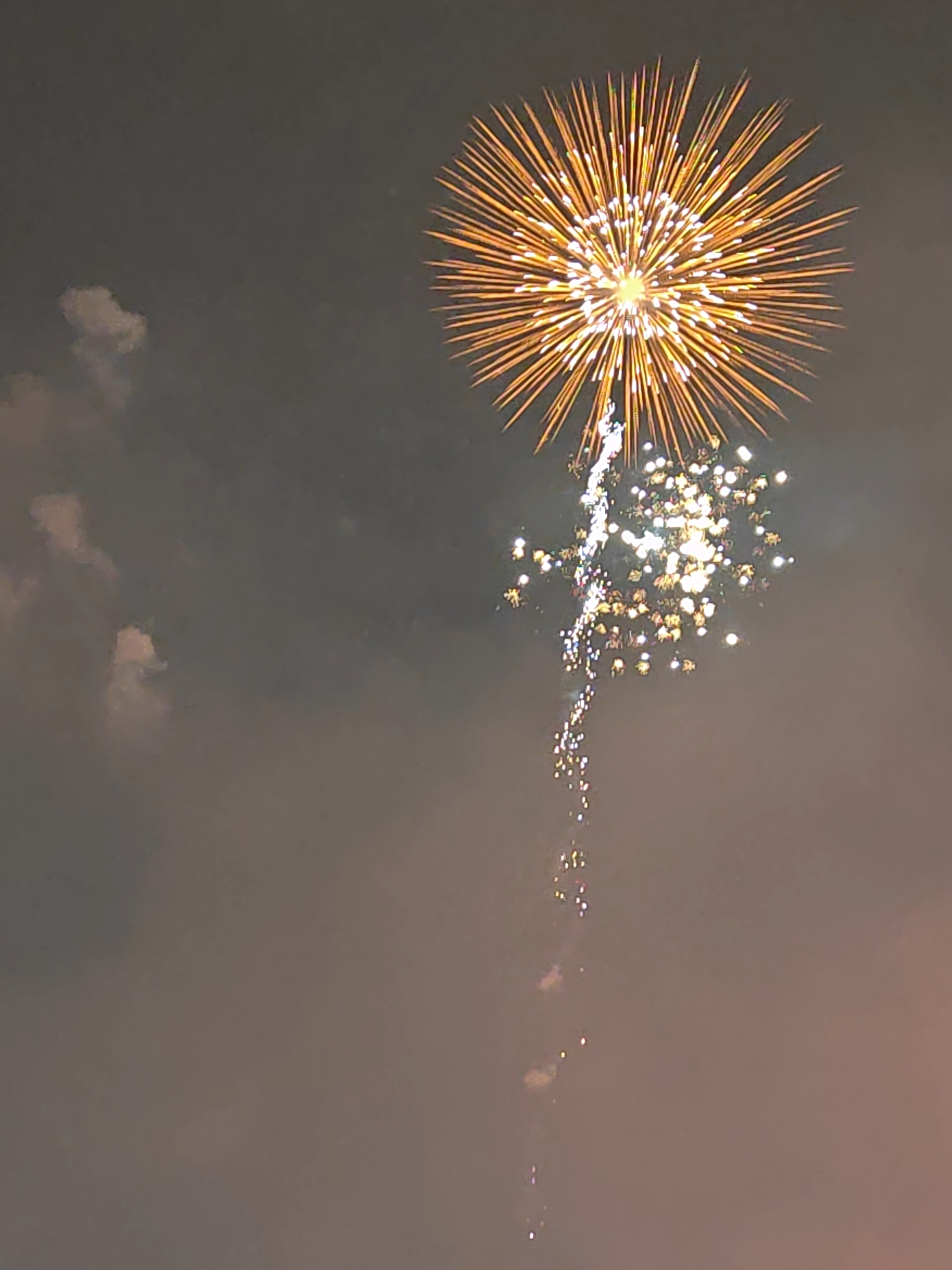 �̻������ֳ���������ţ�����һ�����տ������������� ���ŵ���