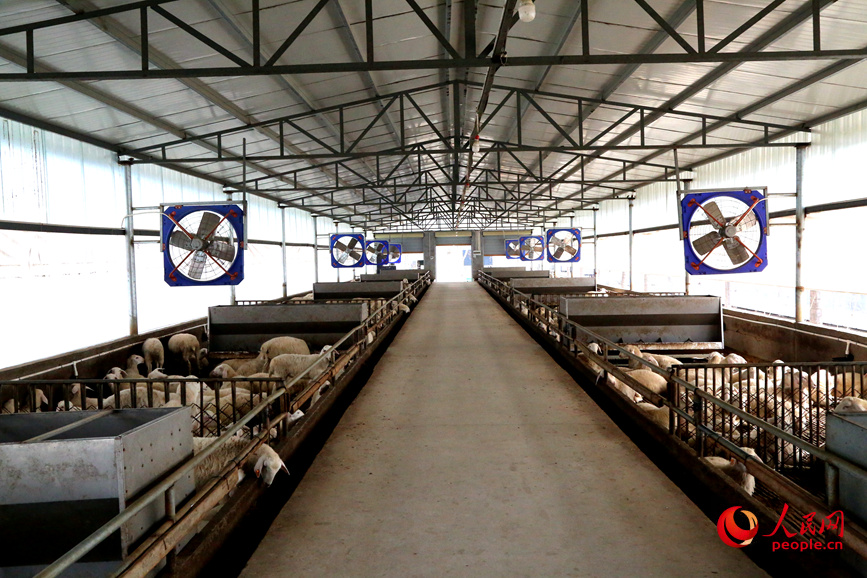 �ɾ���������ᡣ���������� ��˼Զ��