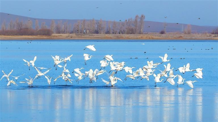 ������������ϡ� �¸��ࡤ�����ձ����� ʢѧ��