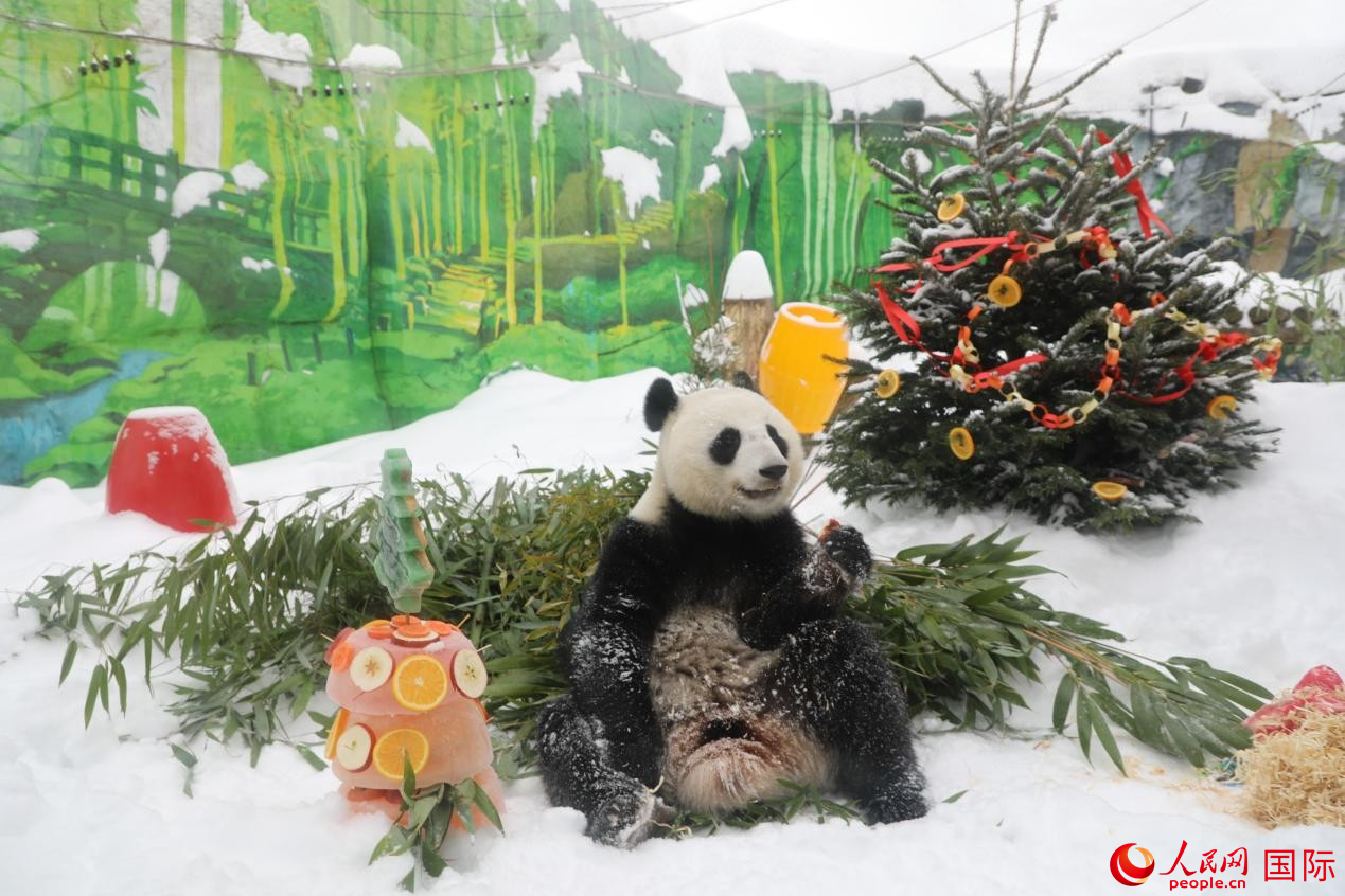 ����è������ɯ����������԰��׼���ĵ��⡣���������� Ф������