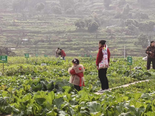 ��԰Ҳ��Ϊ�ܱ߾���ɢ���ġ���԰������������