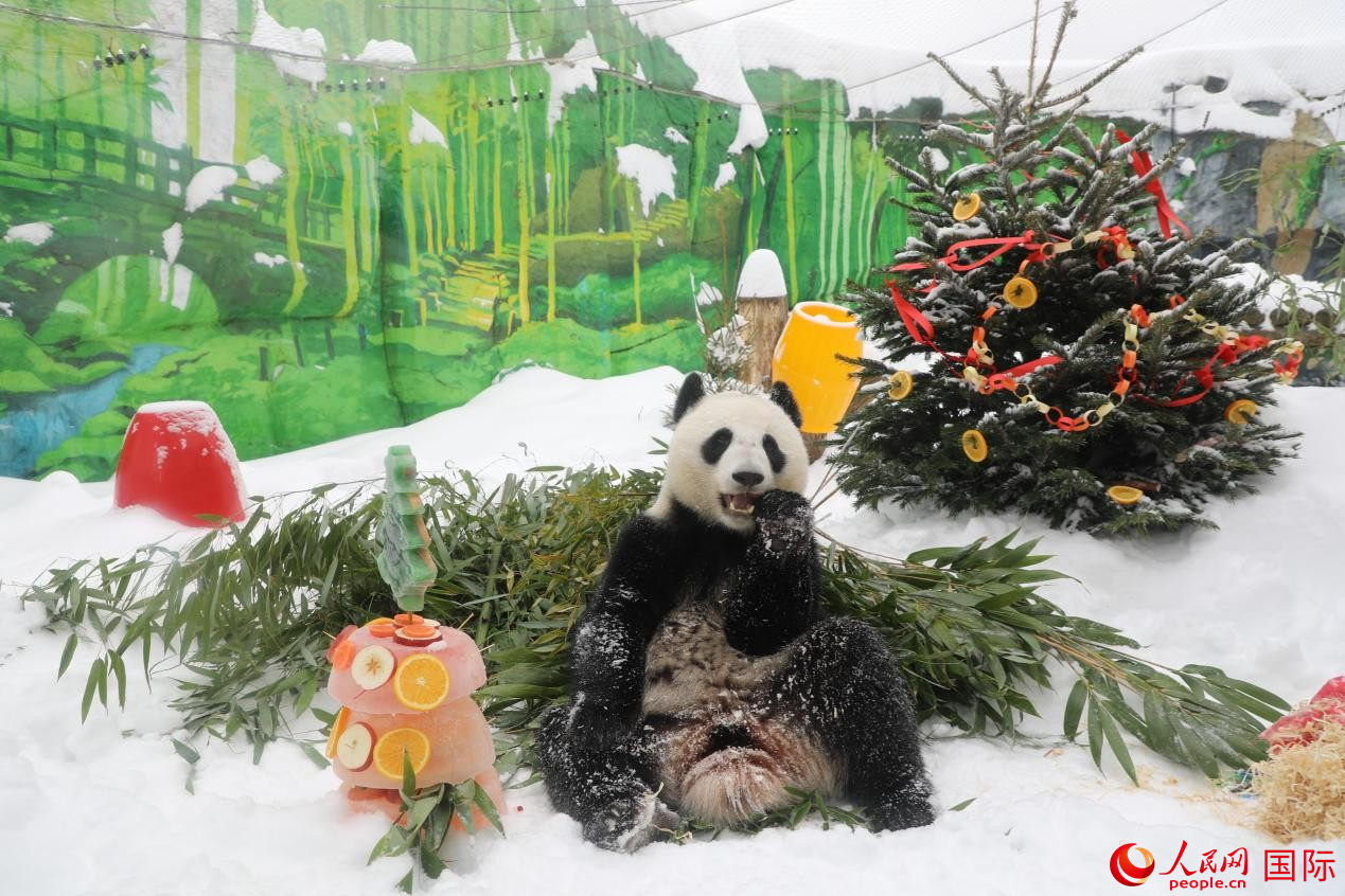 ����è������ɯ����������԰��׼���ĵ��⡣���������� Ф������