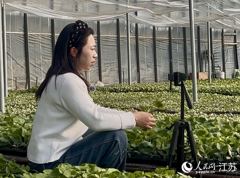 ��������ֱ���������硣���������� ��������