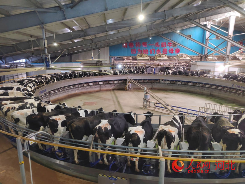 �ӱ�ʡ�е��з������������صļ򰮸��������ļ��̳��䡣������ ����ף������