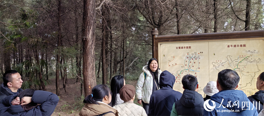 �ο��ڴ����ȹ�����ϲιۡ����������� ��������