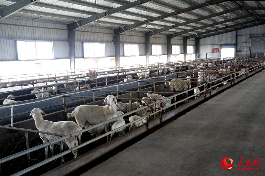 ��ֳ���������������������������� ��˼Զ��