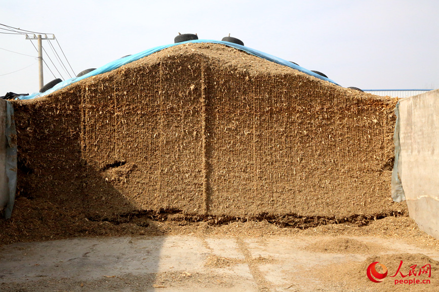 �Ѿ���õĽո��ݷŵ��������롣���������� ��˼Զ��